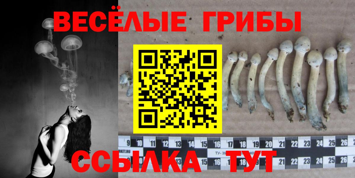 Урай  Псилоцибиновые грибы Cubensis  Вход с VPN  Псилоцибиновые грибы Psilocybe 